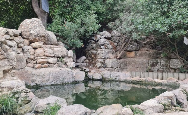 שביל המעיינות (צילום: בלה נודלמן, קק