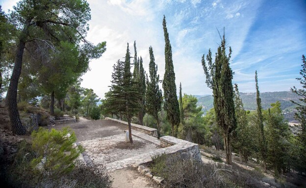 שביל הארז (צילום: אבי בלבן, ארכיון הצילומים של קקל)