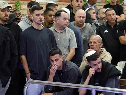 (אלן שיבר) (אלן שיבר)