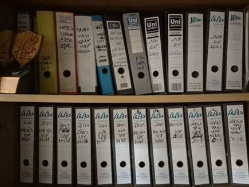 (הביטוח הלאומי) (צילום: ספורט 5)