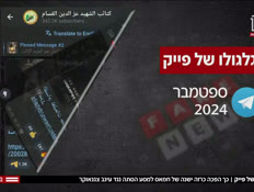 20fake_vtr2_n20250522_v1 (צילום: חדשות)