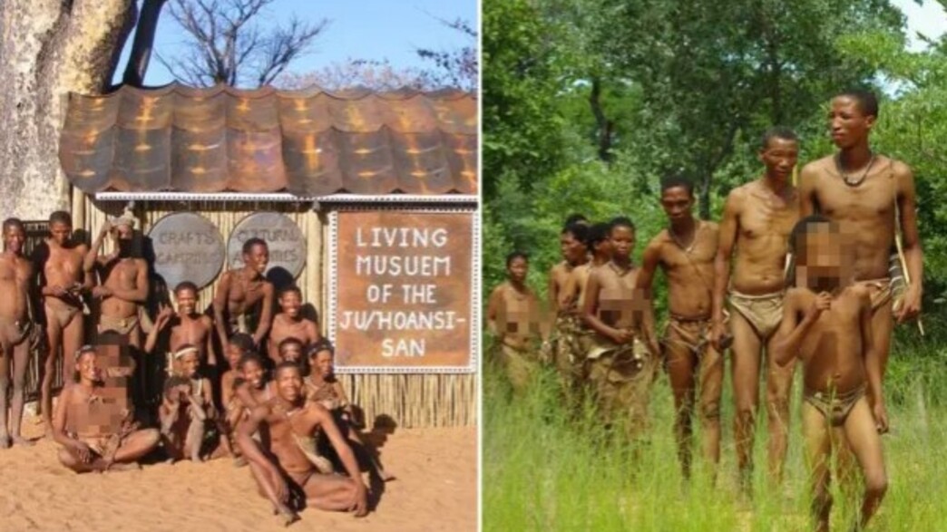 ילידי שבט הסן באפריקה והמוזיאון שלהם 