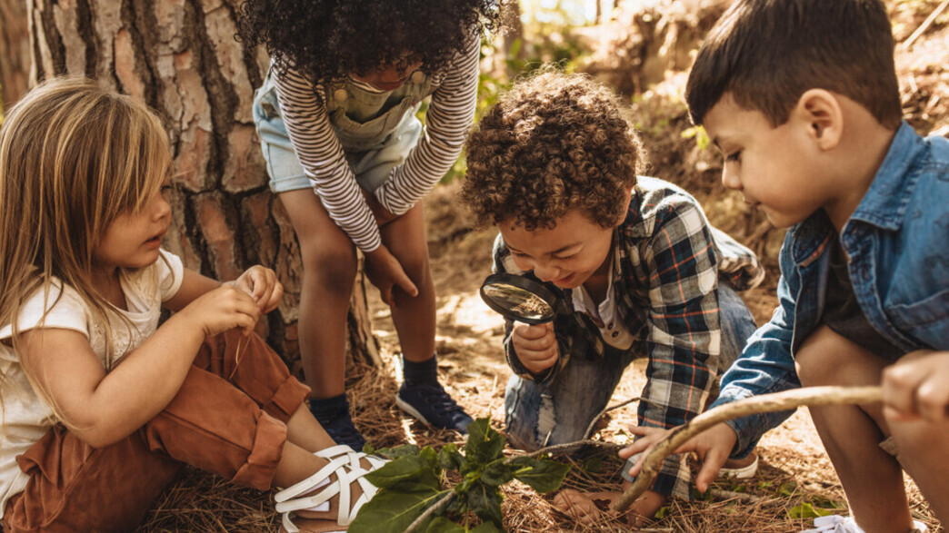 ילדים חוקרים ילדים חוקרים