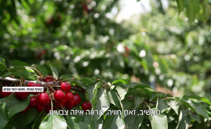 menahem_vtr2_n20250523_v1 (צילום: חדשות)