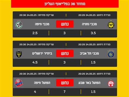 sportFive1557850 (צילום: ספורט 5)