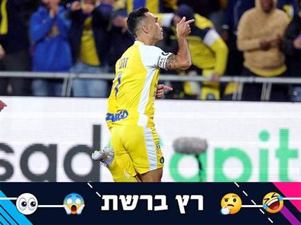 (צילום: אלן שיבר) (צילום: אלן שיבר)