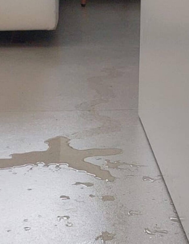 סימני המים בביתה של מעיין טל סימני המים בביתה של מעיין טל