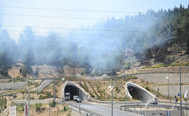 שרפה בירושלים (צילום: יואב דודקביץ', TPS)