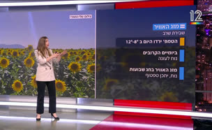 20mezeg_vtr2_n20250527_v1 (צילום: חדשות)