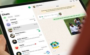 וואטסאפ לאייפד (צילום: whatsapp)