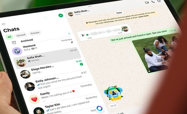 וואטסאפ לאייפד (צילום: whatsapp)