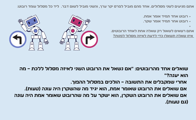 חידת הרובוטים (צילום: הפרופסור הלא המפוזר)