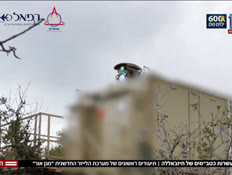 20magenor_vtr2_n20250528_v1 (צילום: חדשות)