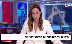 פינויים אלימים במחאה מול מצודת זאב