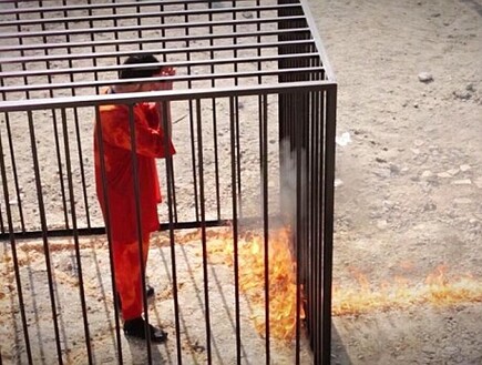 הטייס הירדני הטייס הירדני