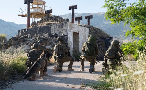 הפשיטה בכפר בסוריה (צילום: דובר צה