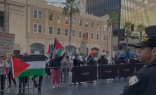 הפגנה בלוס אנג'לס (צילום: סעיף 27א לחוק זכויות יוצרים)