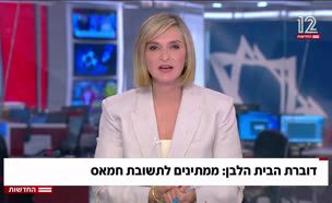20doveret_vtr2_n20250529_v1 (צילום: חדשות)