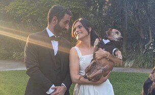 הכלב הקשיש בן 18 שנפטר חודש אחרי החתונה (צילום: לירון ברקת, כלבנית)