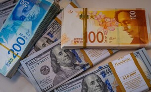 שקלים חדשים, דולר (צילום: נתי שוחט, פלאש 90)