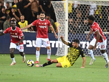 גמר גביע המדינה בכדורגל (צילום: TPS)