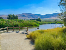 נחל הקיבוצים  (צילום: RnDmS, shutterstock)