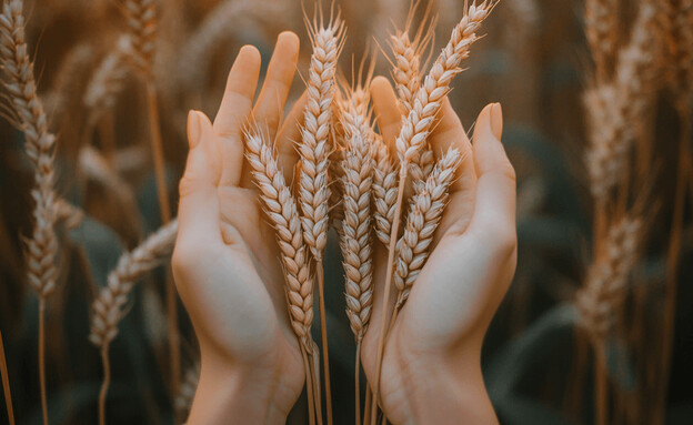 חג שבועות 2025