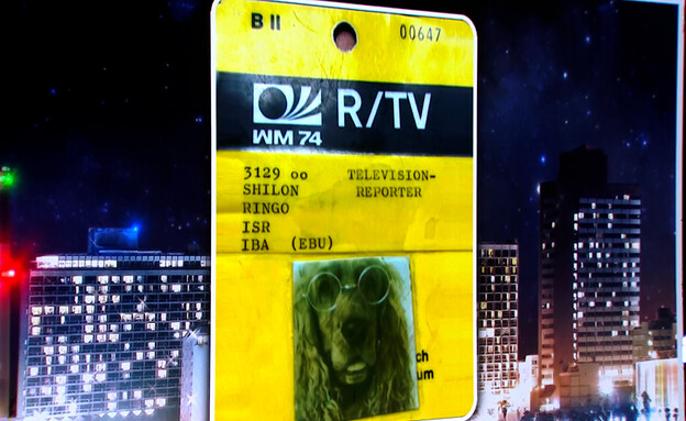 "מה באמת קרה שם?" - דן שילון