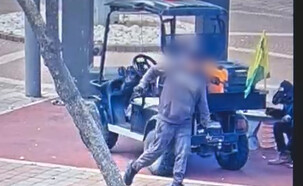 תקיפה בגינה בתל אביב