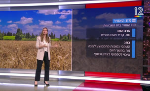 תחזית מזג האוויר 31.5.25