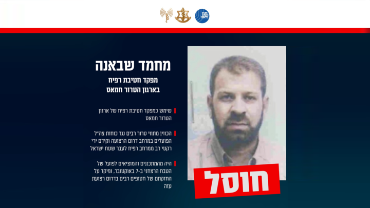 תעודת זהות בנושא חיסולו של מחמד שבאנה (צילום: דובר צה