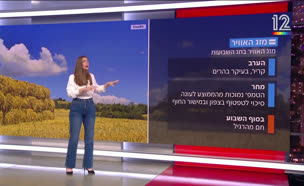 תחזית מזג האוויר - 01.06.2025