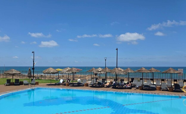 סי לייף סי לייף