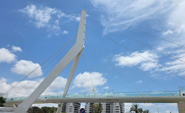 גשר המיתרים גשר המיתרים