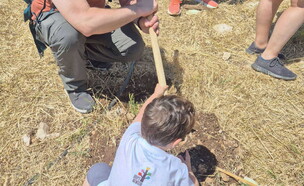 אירוע נוטעים קהילה ביער בן שמן (צילום: רשת גני ניוטון)
