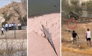 חוות התנינים בפצאל (צילום: סעיף 27 א')