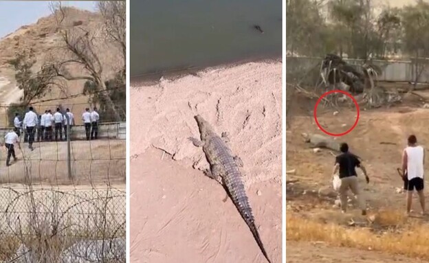 חוות התנינים בפצאל (צילום: סעיף 27 א')