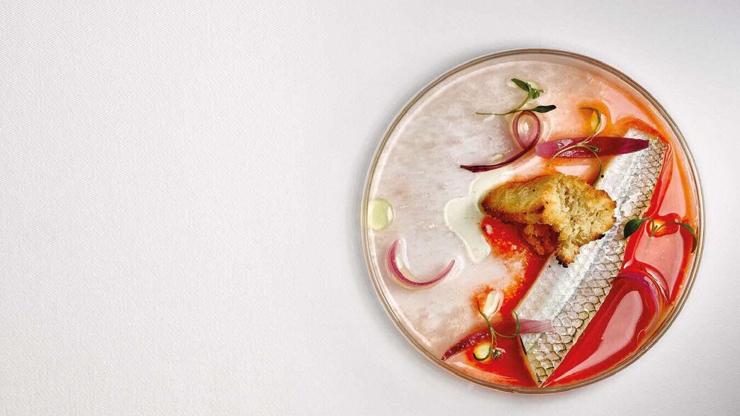 מסעדת Tegui בישראל מסעדת Tegui בישראל