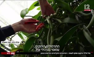 varon_vtr2_n20250603_v1 (צילום: חדשות)
