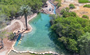 עין שוקק החדש (צילום: שאהין זועבי רשות ניקוז ונחלים דרומי)