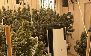 מעבדת הסמים שנתפסה (צילום: דוברות המשטרה)