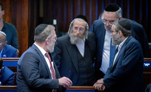 חברי יהדות התורה במליאת הכנסת (צילום: חיים גולדברג, פלאש 90)