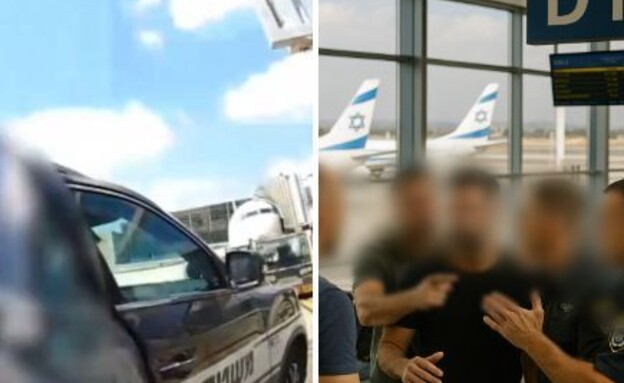 נתב