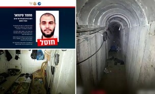 ההימלטות והאש ההימלטות והאש