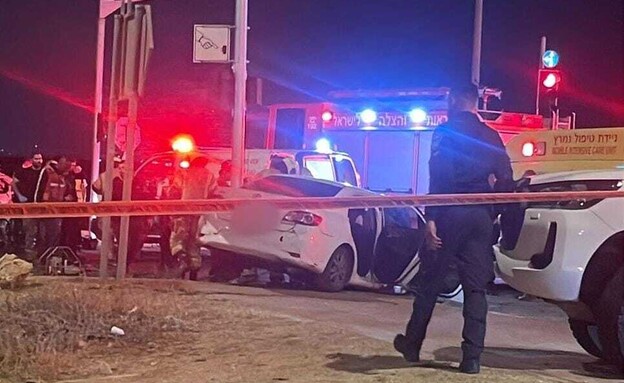 זירת התאונה הקשה בנגב (צילום: תיעוד מבצעי מד"א)