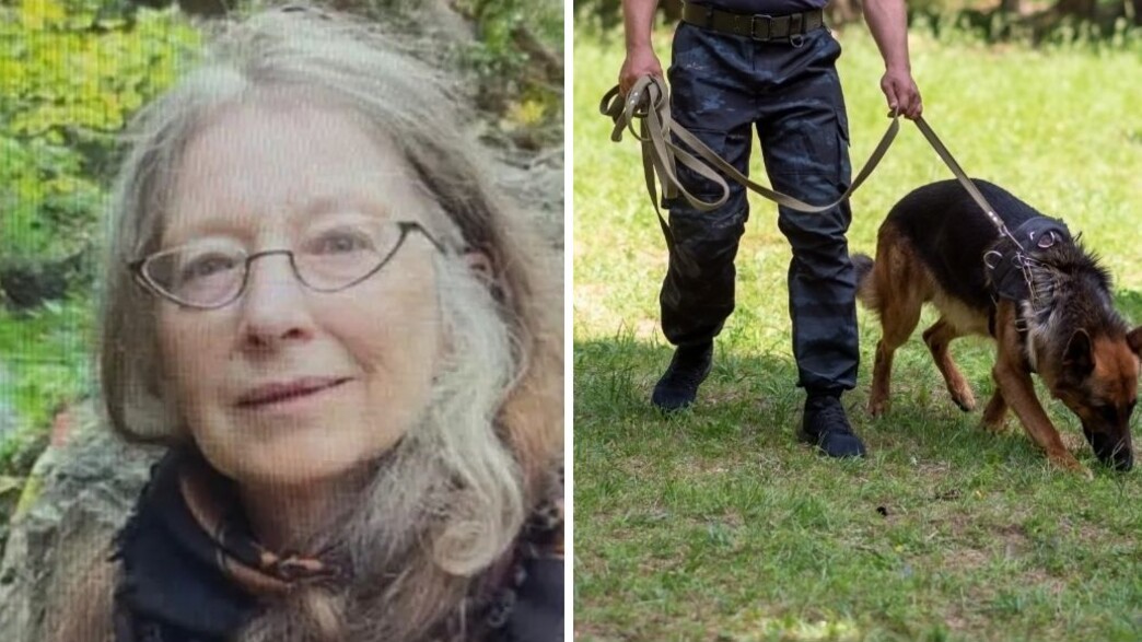 חיפושים בכרתים