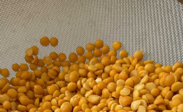 פאבה - החומוס של היוונים