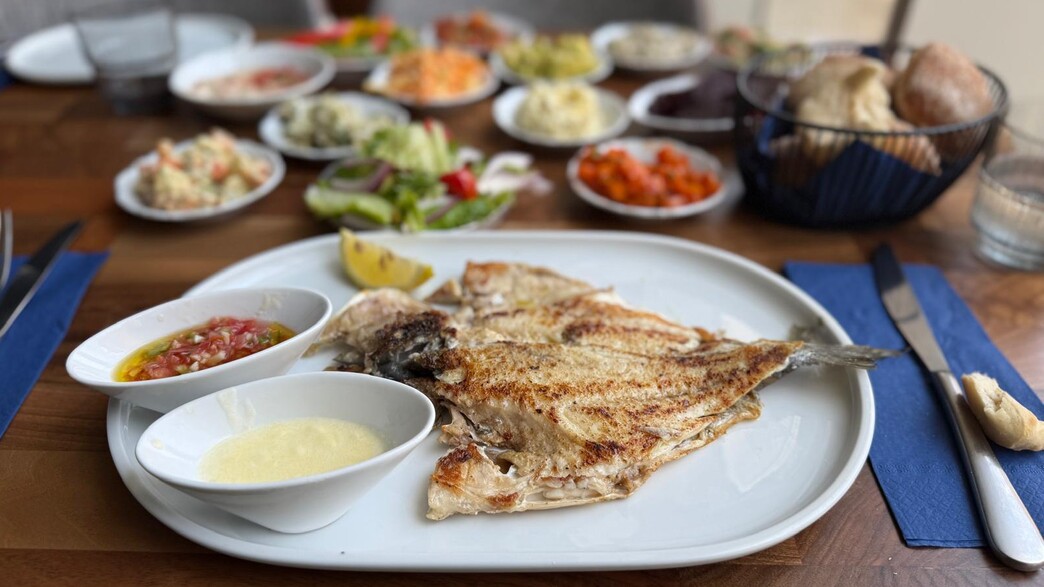 ברבוניה הכשרה בקרית אונו ברבוניה הכשרה בקרית אונו