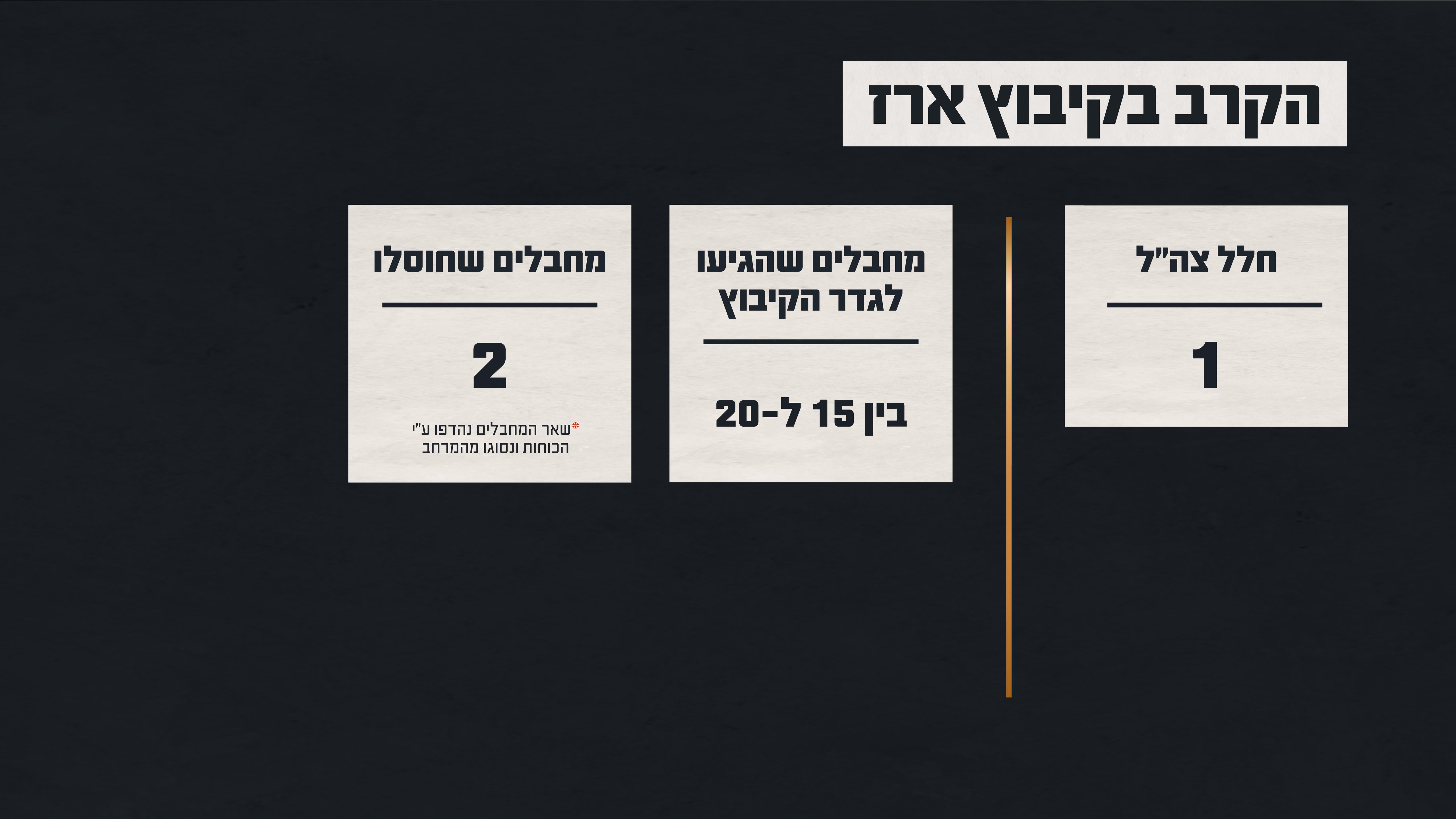 הכוחות שלחמו בקרב בקיבוץ ארז (אילוסטרציה: דובר צה