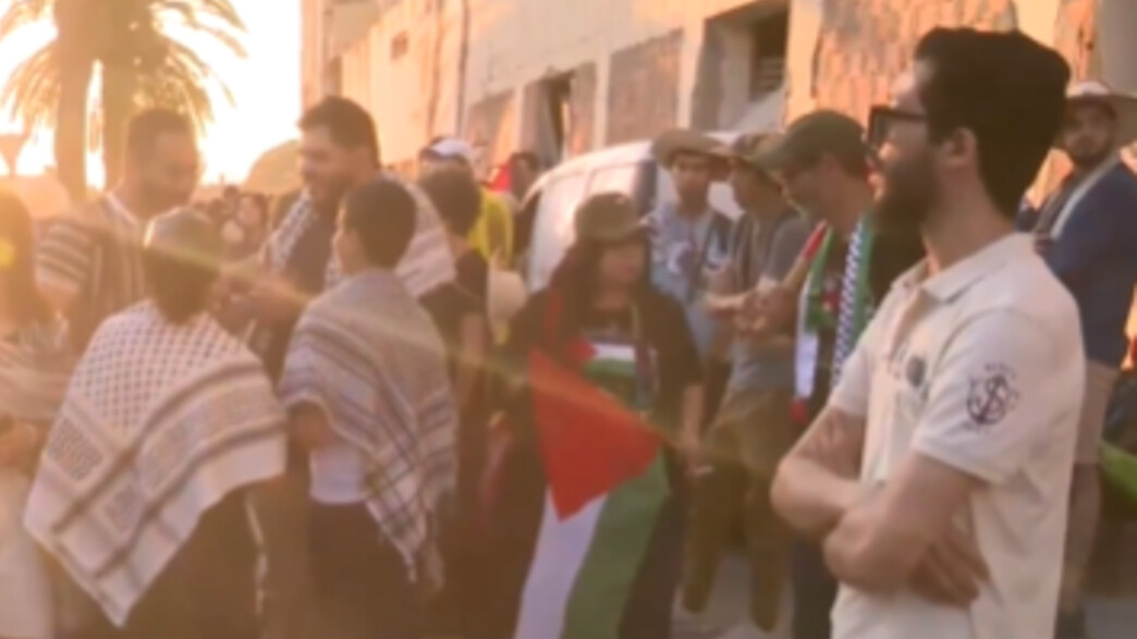 פעילים פרו פלסטינים פעילים פרו פלסטינים